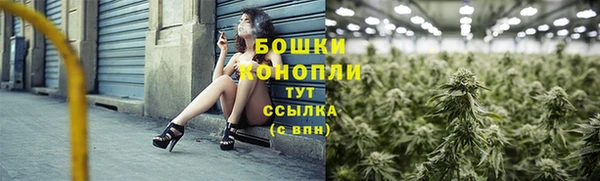 винт Козельск